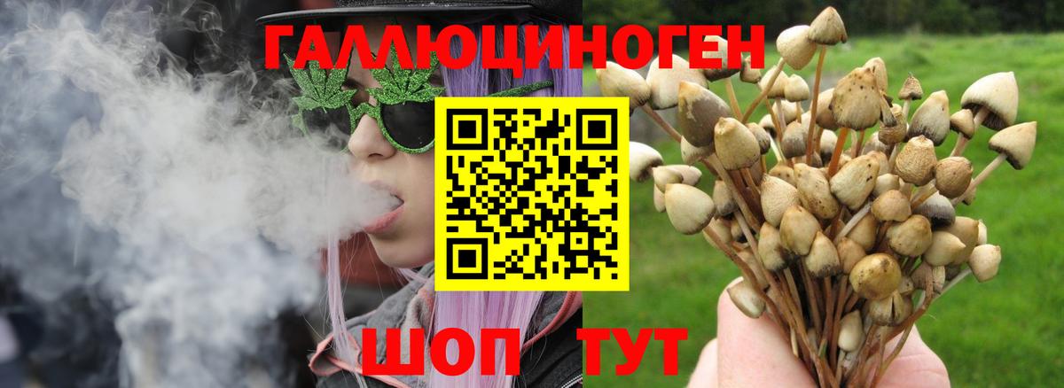 Кыштым  Галлюциногенные грибы Magic Shrooms  Вход с VPN 